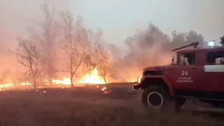 Mehrere Tote bei Waldbränden im Osten der Ukraine | AFP