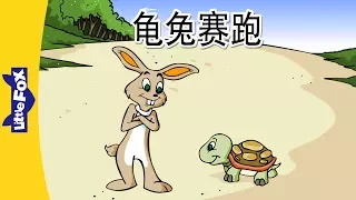 The Tortoise and the Hare (龟兔赛跑) | Folktales 1 | Chinese | By Little Fox