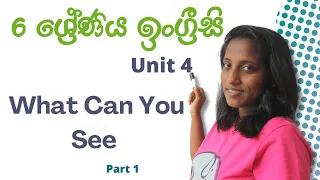 Grade 6 English | Pupil's Book | Unit 4. What Can You see? Part 1 | Role Play