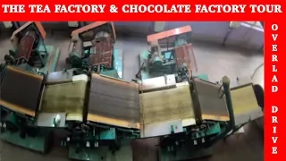 The TEA Factory and The Chocolate Factory Tour, Ooty.