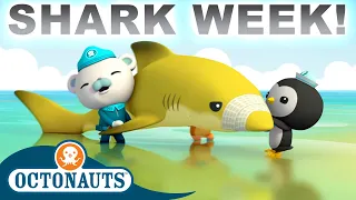 @Octonauts - Lemon Shark Rescue 🦈🍋⛑️ | Season 1 | Full Episodes | Cartoons for Kids