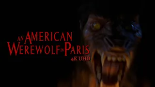 An American Werewolf in Paris - 4K UHD Demo | High-Def Digest