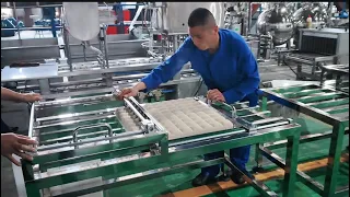 1000L/H soymilk and 250 kg/h tofu production line soymilk machine tofu machine