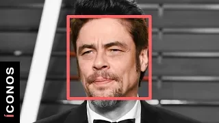 El último amor de Benicio del Toro