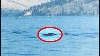 Is This Stretch Of Lake Home To A Real Life Sea Monster?