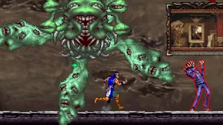 Castlevania: Portrait of Ruin Boss Rush (No Damage, All Courses, Richter)