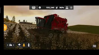 🌱Primeira colheita de algodão, muita grana 💲💲🕶️ Farming simulator 20