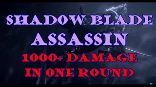 Shadow Blade Assassin: 1000+ damage build.  Adventure League