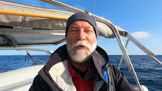 Snow Gum - sailing Scotland with dolphins - Garcia Exploration 45
