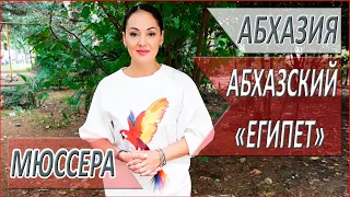 Абхазский "ЕГИПЕТ"! Где ОТДОХНУТЬ в Абхазии? Пансионат МЮССЕРА. Отдых в Абхазии