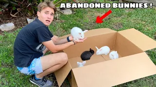 BABY BUNNIES FOUND ABANDONED ! WHAT HAPPENED ?!