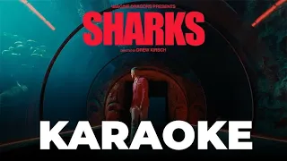 Imagine Dragons - Sharks KARAOKE (with backing vocals)