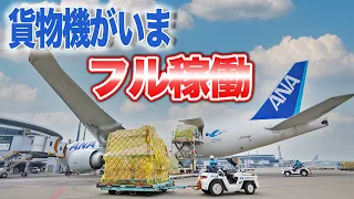 【巨大貨物機】ANA CargoのB777-Fが台北に初投入！|乗りものチャンネル