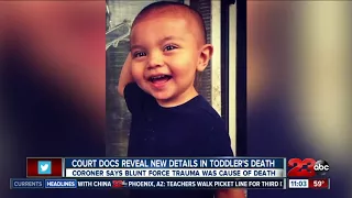 Court documents reveal new details in toddler's death