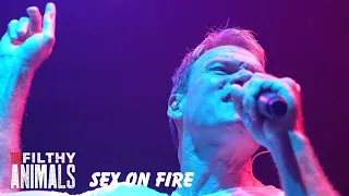 SEX ON FIRE -  Kings of Leon cover by The Filthy Animals