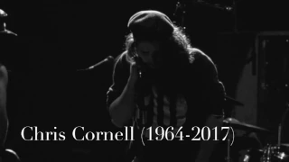 Chris Cornell Tribute