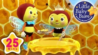 Little Bee Song | Plus Lots More Nursery Rhymes | 25 Minutes Compilation from LittleBabyBum!