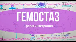 ГЕМОСТАЗ за 15 минут // + интеграция с фармакологией