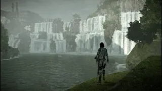 SHADOW OF THE COLOSSUS: GRABBING A SEAGULL WHILE CLIFF JUMPING.