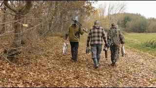 "November Rabbits" Traditional Bowhunting for rabbits - Tales From the Willows - Small game hunting