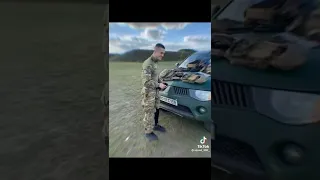 Буйвол бієць Азову