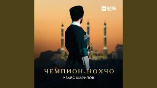 Чемпион-Нохчо