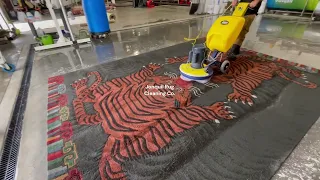 Tiger Hand-Knotted Wool Rug from Nepal! FULL WASH!