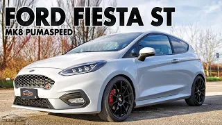 Ford Fiesta ST Mk8: 250 cv by PumaSpeed