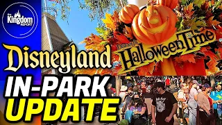 Disneyland Update: Bigger Crowds, New Construction & More!