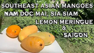 MOST POPULAR MANGOES FROM AROUND THE WORLD, EPISODE 5 - MORE SOUTHEAST ASIAN VARIETIES