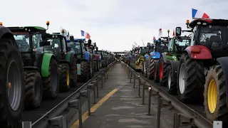 Seeds of discontent: Why European farmers are taking their anger to the streets • FRANCE 24 English