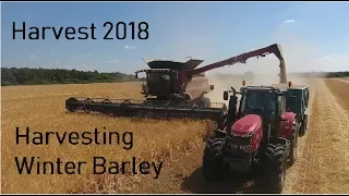 Harvest 2018 - Harvesting Winter Barley with a Case AxielFlow