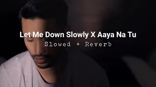 Let Me Down Slowly x Aaya Na Tu | Lofi Mashup | Slowed + Reverb | The Lofi Mania
