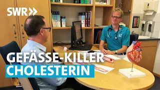 Gefäße-Killer Cholesterin | Rundum gesund