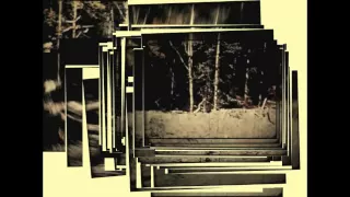 Patterson Gimlin Bigfoot film 1967, the best stabilization of all 5 parts of the film.