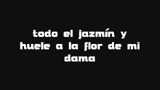 Fondo Flamenco- Mi estrella Blanca Letra