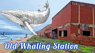 Exploring an Old Whaling Station | Bluff - Durban | South Africa