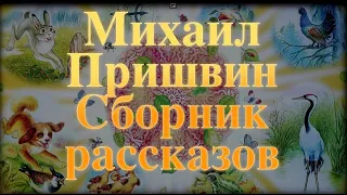 Михаил Пришвин. Сборник рассказов для детей Baby Book Сказки на ночь.Слушать сказки онлайн