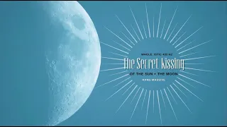 WHOLE_istic 432 Hz | The Secret Kissing of the Sun + Moon | Hang Massive