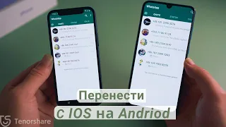 Как перенести WhatsApp с iPhone на Android?