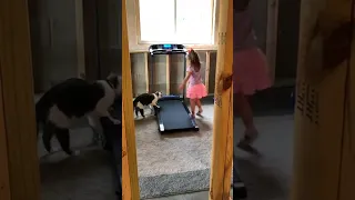 Cat Walks on Treadmill with Little Girl - 1357670