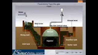 fixed-dome biogas plant