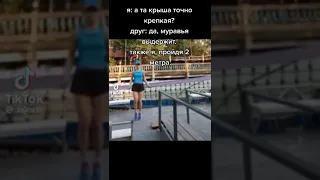 Мемы по ТикТоку #436