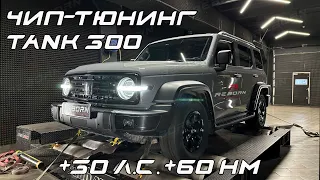 Чип-тюнинг TANK 300 - Reborn Technologies с замерами на диностенде.