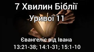 "7 Хвилин Біблії" Уривок 11 Євангеліє від Івана 13:21- 38; 14:1-31, 15:1-10