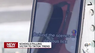 TikTok shuts down posts showing schools being vandalized