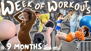 Week of PREGNANT Workouts...this is getting harder (Third Trimester Workout Routine)