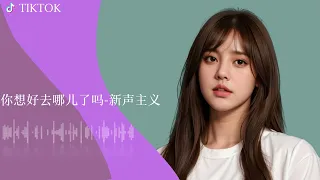 27Tiktok【2024抖音流行歌曲排行榜】2小时【动态歌词 Lyrics】2024听好歌 | 华语中文歌曲排行榜 | Best Tiktok Songs | Music Tube Channel