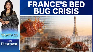 France in Grip of Bed Bug Panic ahead of Paris Olympics | Vantage with Palki Sharma