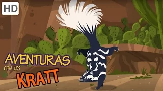 Aventuras con los Kratt - ¡Usted ha Sido Mofeta!